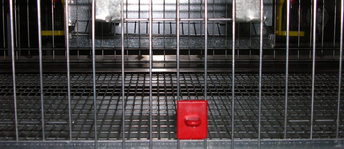slider-images-1