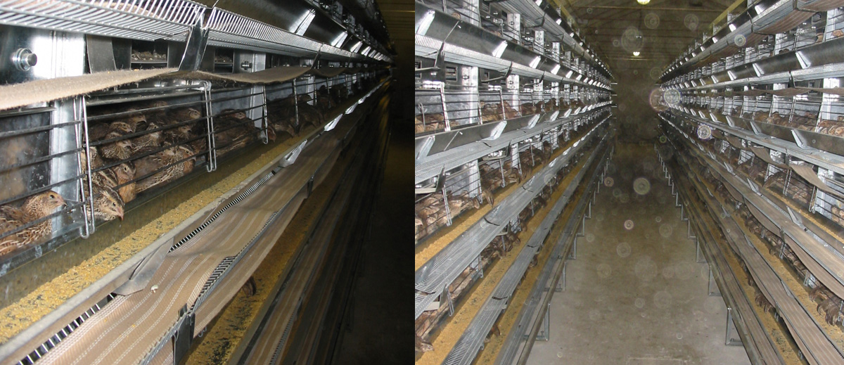 slider-images-1